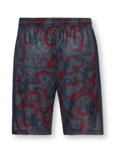 ElementStore - red-bull-rampage-kratasy-2